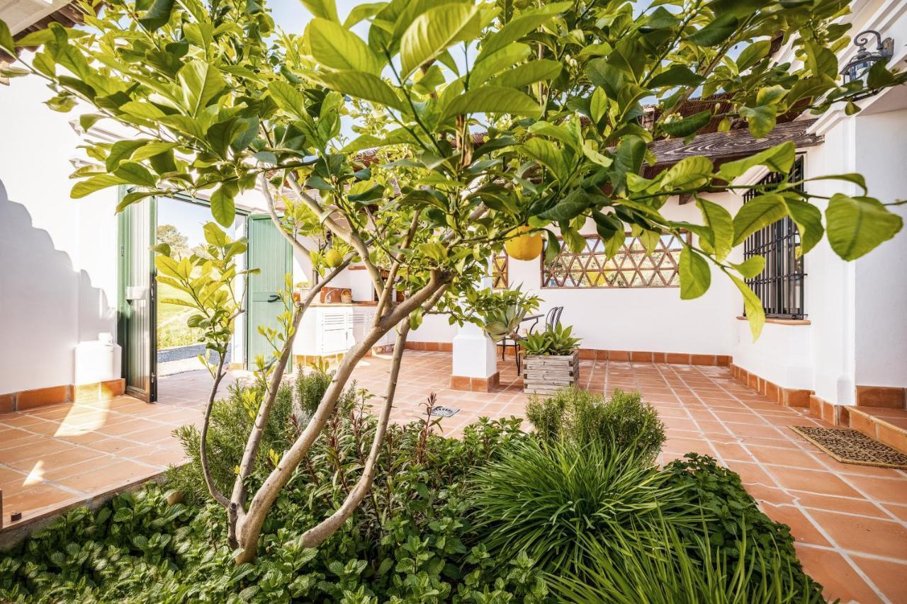 Casa Maurus By Rosas Cantares Pizarra Exterior photo
